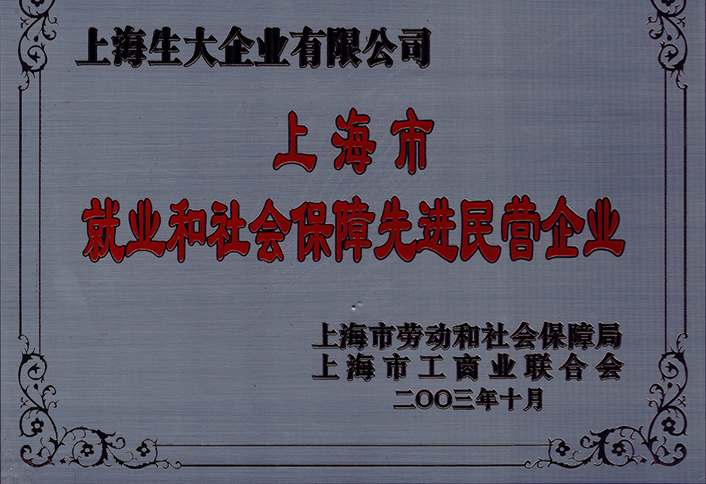 上海市就业和社会 保障先进民营企业
